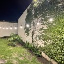 주연민박 이미지