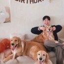 베러잇