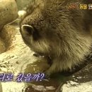 크레뮤 이미지