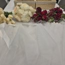 스테이스톤 이미지