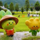 여수랑남도랑여행협동조합 이미지