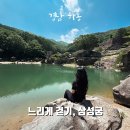 장승길 | 삼성궁 입장료 및 관람 동선 정리｜하동여행 아이와 가볼만한 곳