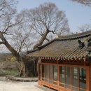 수지면 양촌마을 이미지