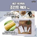 닥터마트