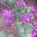 선산대로3-3 이미지