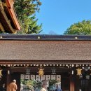 신사-102 Daum카페