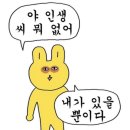 샐러드먹곰 이미지