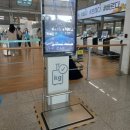 (주)비엔비항공 | 호주 시드니ㅣ악명높은 가성비 젯스타항공 생각보다 괜찮은 이용후기 (좌석꿀팁/시드니공항 맥도날드...