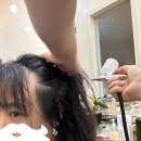 메디코스코리아 이미지