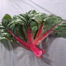 수목가든 이미지