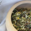 노지하우스 이미지