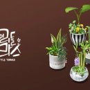 마이리틀테라스