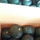 함평 미니단호박 판매합니다~!!! 이미지