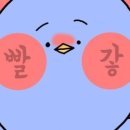 이자카야토라 이미지