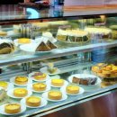 라파 | 경주 신상 물멍 대형 한옥 카페 노경보차라파 내돈내산 솔직 후기