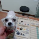 신정2지구대 이미지