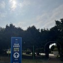 다누비 열차 | 부산 영도 태종대 다누비열차 주말 방문 후기