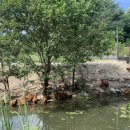 에덴축산 이미지