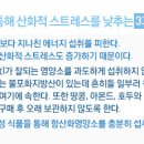 무지개 식품 이미지