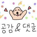AK동물병원 이미지