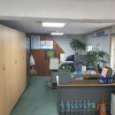 (주)이렌트카 | 울릉도렌트카, 울릉도렌터카 고민 끝! 현지에서 직접 이용해본 ‘(주)독도렌트카 울릉본점’ 리얼 후기