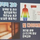 디니힐링