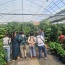 별자리농원 이미지