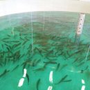 양식단지 앞 이미지