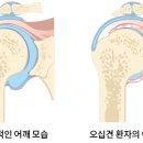 대연 헬스 이미지
