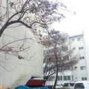 롯데부동산중개사무소 이미지