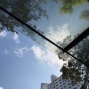 10코스 | [2025 오산독산성전국하프마라톤대회] 10km / PB / 코스 후기