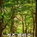 (주)신라공영