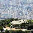 황령산유원지 생태숲 이미지
