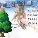 아침일찍일어나는참새 이미지