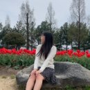 대덕동네피자 이미지