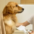 주식회사 페페 이미지