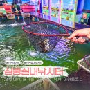 후니 실내낚시터 이미지