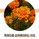 바이탈랩