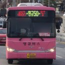 신안인스빌 정문 ~ 주택단지입구 삼거리 앞 양방향 | 남양주 땡큐버스(대원운수)