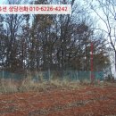 불은면-8 이미지