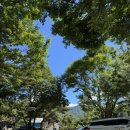 쇠목계곡가든위 | 지리산 뱀사골 털보가든 2026 최신 평상 가격 총정리｜예약·계곡 후기