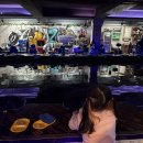 아마존실내낚시터 이미지