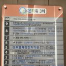 파주 야당 미용실 메이원헤어 야당점 수아실장님 엉킨머리 복구 크리닉 후기