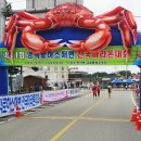 * 영덕 로하스 해변 마라톤대회(사진) 이미지