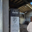 미노리 | [강릉] 버드나무브루어리 대관령버섯피자 과카몰레나초 미노리세션 후기