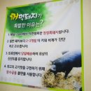 촌장꺼먹돼지