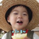 에브리바디빈티지 이미지
