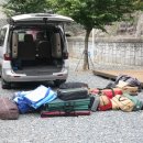 패밀리 동행 이미지