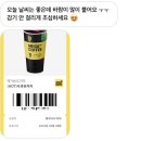 멍냥이꼬까 | [댕댕키친 X 멍냥이꼬까]목포 유달산 봄축제