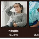 마가 이미지